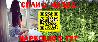 стафф Краснодар