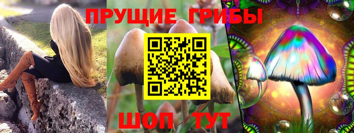 Кимовск  Псилоцибиновые грибы мицелий  Псилоцибиновые грибы мухоморы  Вход с VPN 