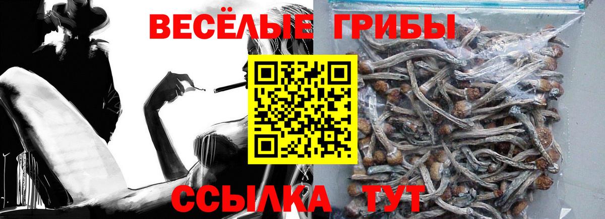 Псилоцибиновые грибы Psilocybe Кимовск